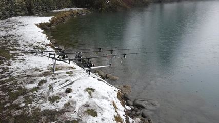 Lago dei Cigni 6 februarie 2015